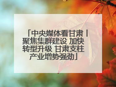 中央媒体看甘肃丨聚焦集群建设 加快转型升级 甘肃支柱产业增势强劲