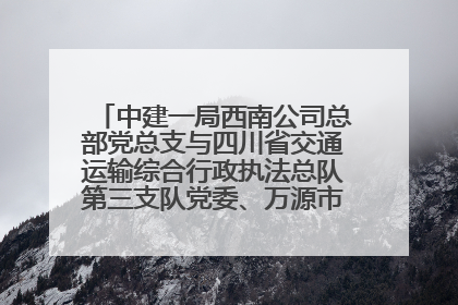 中建一局西南公司总部党总支与四川省交通运输综合行政执法总队第三支队党委、万源市草坝镇莲花院村党支部开展党建联建