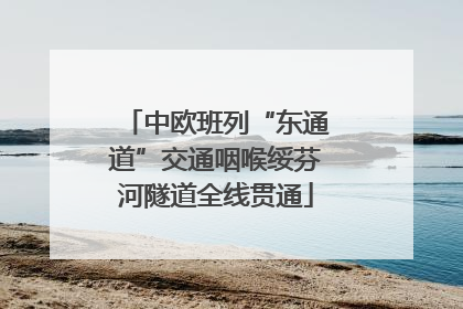 中欧班列“东通道”交通咽喉绥芬河隧道全线贯通