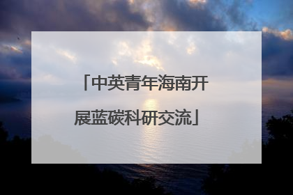 中英青年海南开展蓝碳科研交流