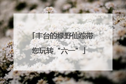 丰台的绿野仙踪带您玩转“六一”