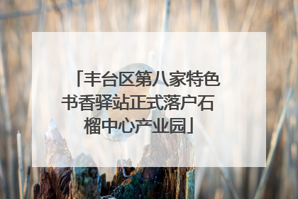 丰台区第八家特色书香驿站正式落户石榴中心产业园