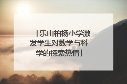 乐山柏杨小学激发学生对数学与科学的探索热情