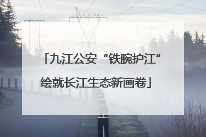 九江公安“铁腕护江”绘就长江生态新画卷