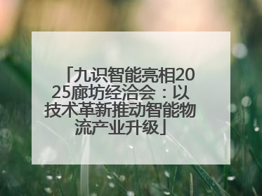 九识智能亮相2025廊坊经洽会：以技术革新推动智能物流产业升级