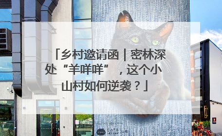 乡村邀请函｜密林深处“羊咩咩”，这个小山村如何逆袭？