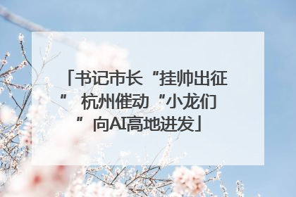 书记市长“挂帅出征” 杭州催动“小龙们”向AI高地进发