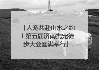 人宠共赴山水之约！第五届济南携宠徒步大会圆满举行