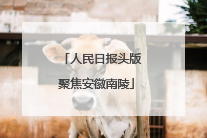 人民日报头版聚焦安徽南陵