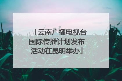 云南广播电视台国际传播计划发布活动在昆明举办