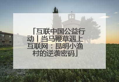 互联中国公益行动丨当马鞭草遇上互联网：昆明小渔村的逆袭密码