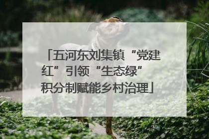 五河东刘集镇“党建红”引领“生态绿” 积分制赋能乡村治理