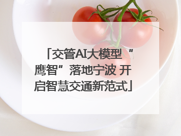 交管AI大模型“鹰智”落地宁波 开启智慧交通新范式
