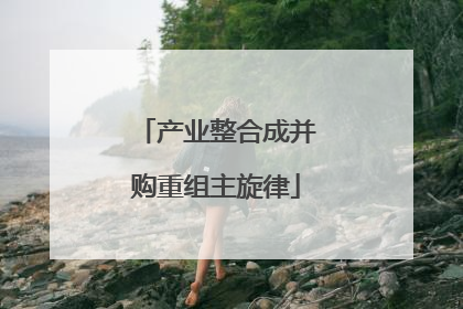 产业整合成并购重组主旋律