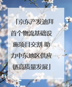京东产发迪拜首个物流基础设施项目交割 助力中东地区供应链高质量发展