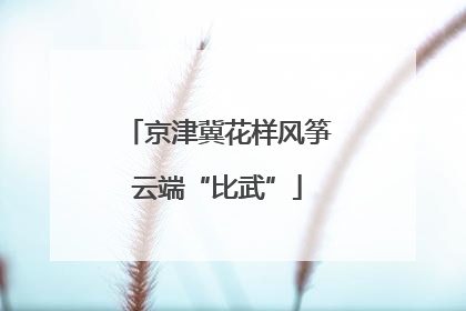 京津冀花样风筝云端“比武”