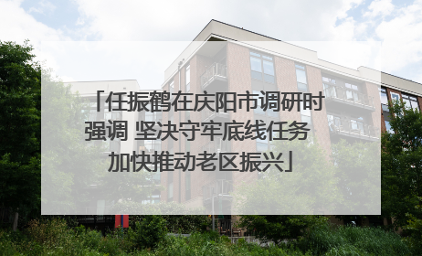 任振鹤在庆阳市调研时强调 坚决守牢底线任务 加快推动老区振兴