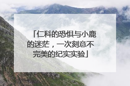 仁科的恐惧与小鹿的迷茫，一次刻意不完美的纪实实验