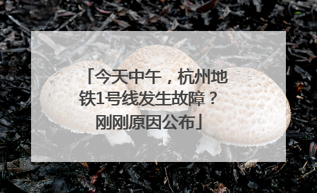 今天中午，杭州地铁1号线发生故障？刚刚原因公布