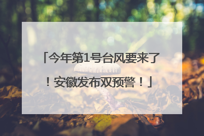 今年第1号台风要来了！安徽发布双预警！