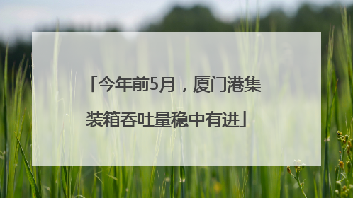 今年前5月，厦门港集装箱吞吐量稳中有进