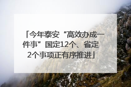 今年泰安“高效办成一件事”国定12个、省定2个事项正有序推进