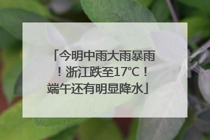 今明中雨大雨暴雨！浙江跌至17℃！端午还有明显降水