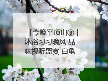 今晚平顶山⑧｜沐浴习习晚风 品味视听盛宴 白龟湖畔·草坪音乐会激情上演