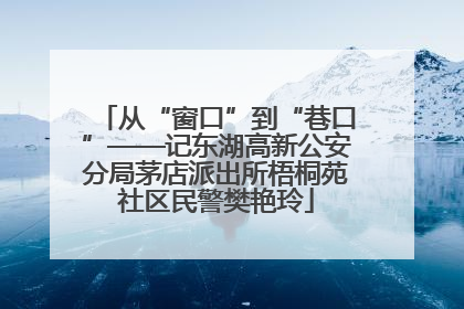 从“窗口”到“巷口”——记东湖高新公安分局茅店派出所梧桐苑社区民警樊艳玲