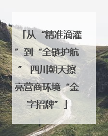 从“精准滴灌”到“全链护航” 四川朝天擦亮营商环境“金字招牌”