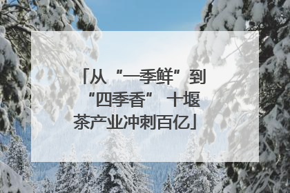从“一季鲜”到“四季香” 十堰茶产业冲刺百亿