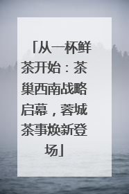 从一杯鲜茶开始：茶巢西南战略启幕，蓉城茶事焕新登场