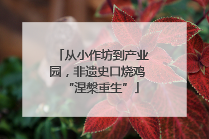 从小作坊到产业园，非遗史口烧鸡“涅槃重生”