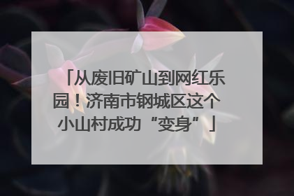 从废旧矿山到网红乐园！济南市钢城区这个小山村成功“变身”