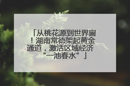 从桃花源到世界窗！湖南常德架起黄金通道，激活区域经济“一池春水”