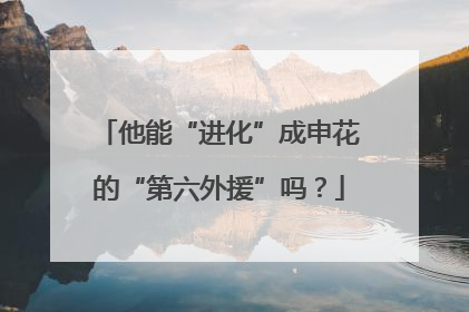 他能“进化”成申花的“第六外援”吗？
