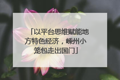 以平台思维赋能地方特色经济，嵊州小笼包走出国门