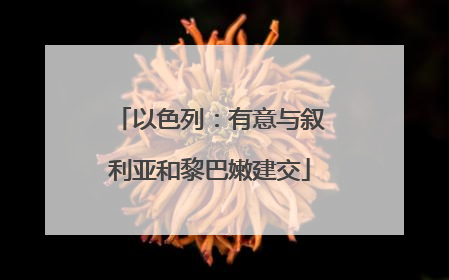 以色列：有意与叙利亚和黎巴嫩建交