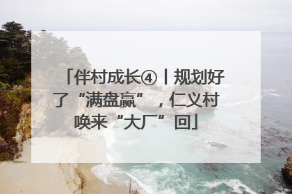 伴村成长④丨规划好了“满盘赢”，仁义村唤来“大厂”回