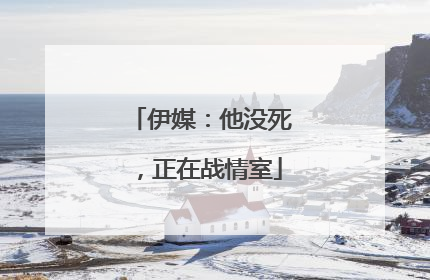 伊媒：他没死，正在战情室