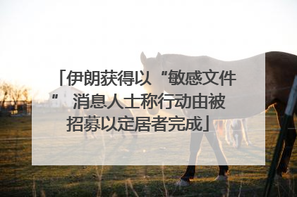 伊朗获得以“敏感文件” 消息人士称行动由被招募以定居者完成
