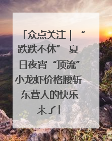 众点关注｜“跌跌不休” 夏日夜宵“顶流”小龙虾价格腰斩 东营人的快乐来了