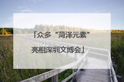 众多“菏泽元素”亮相深圳文博会