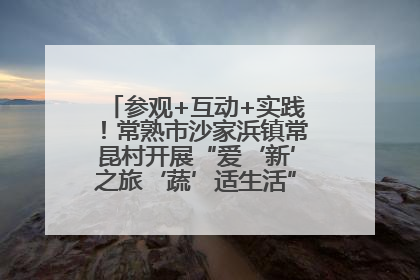 参观+互动+实践！常熟市沙家浜镇常昆村开展“爱‘新’之旅‘蔬’适生活”参观学习活动