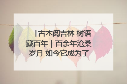 古木阅吉林 树语藏百年｜百余年沧桑岁月 如今它成为了“镇园之宝”