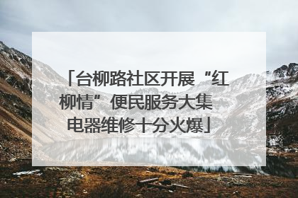 台柳路社区开展“红柳情”便民服务大集 电器维修十分火爆
