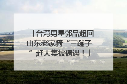 台湾男星郭品超回山东老家骑“三蹦子”赶大集被偶遇！