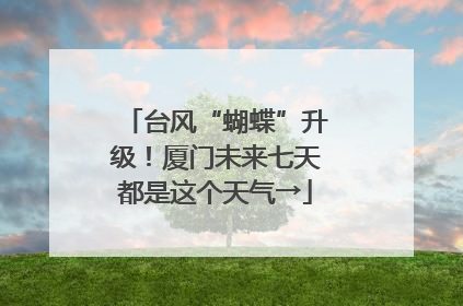 台风“蝴蝶”升级！厦门未来七天都是这个天气→