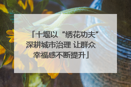 十堰以“绣花功夫”深耕城市治理 让群众幸福感不断提升