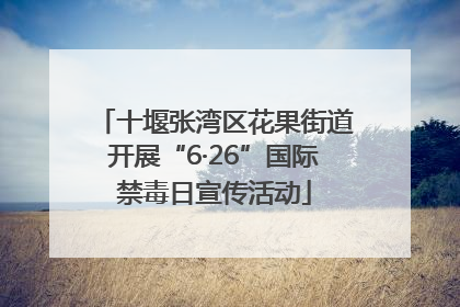 十堰张湾区花果街道开展“6·26”国际禁毒日宣传活动